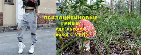 PSILOCYBIN Абдулино
