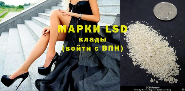PSILOCYBIN Абдулино