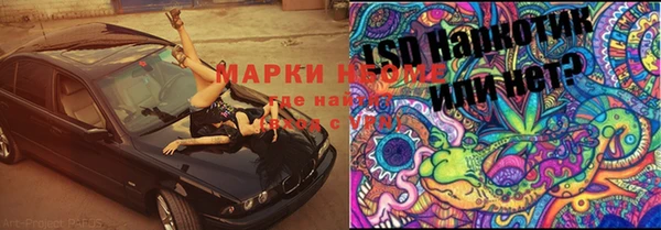 PSILOCYBIN Абдулино